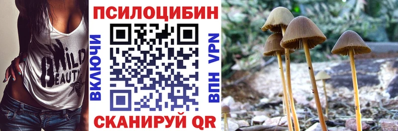 Галлюциногенные грибы Cubensis  МЕГА сайт  Зверево 
