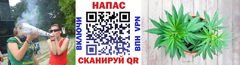 Каннабис план Зверево